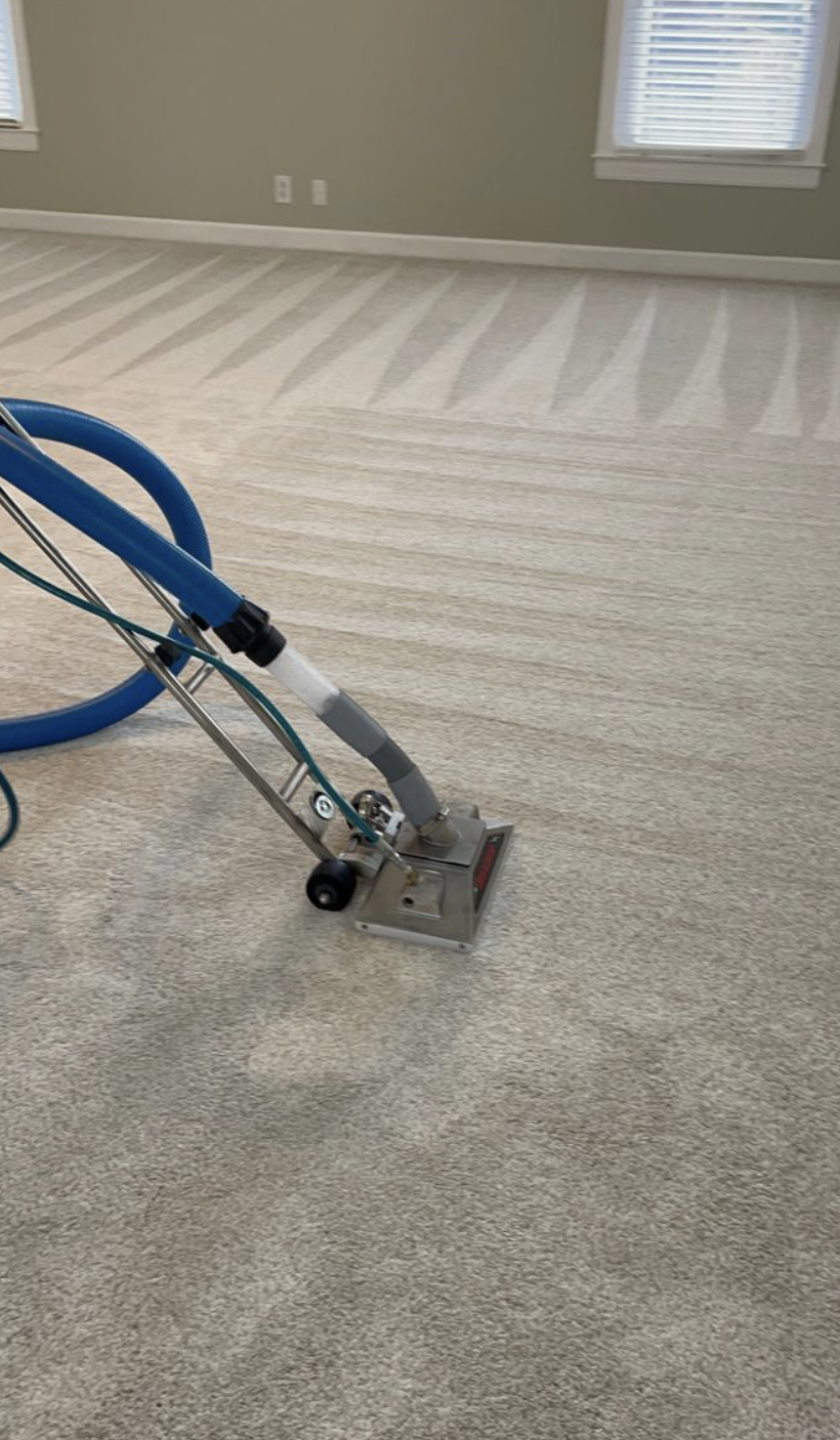 Carpet Cleaning